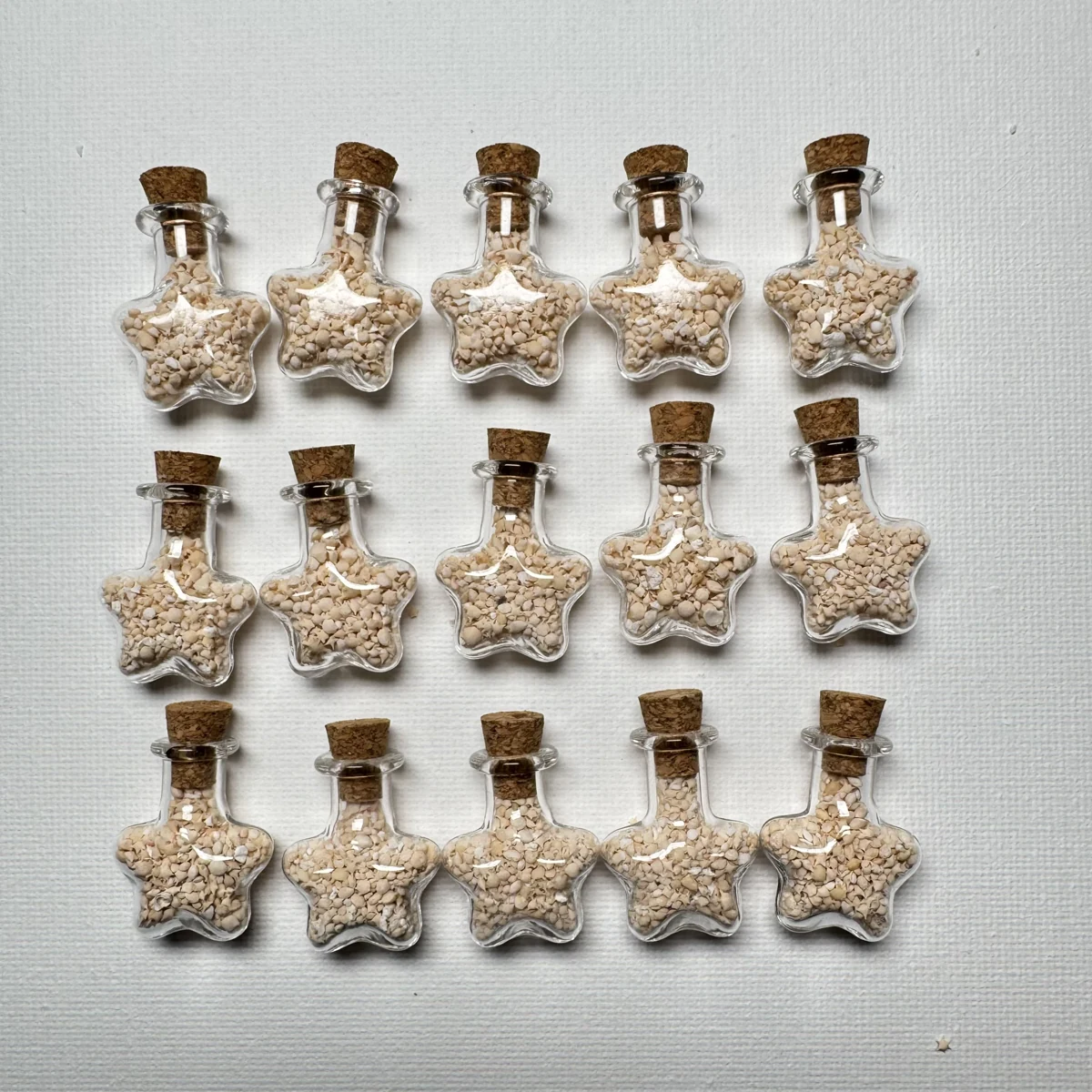 Foraminifera "star sand"
