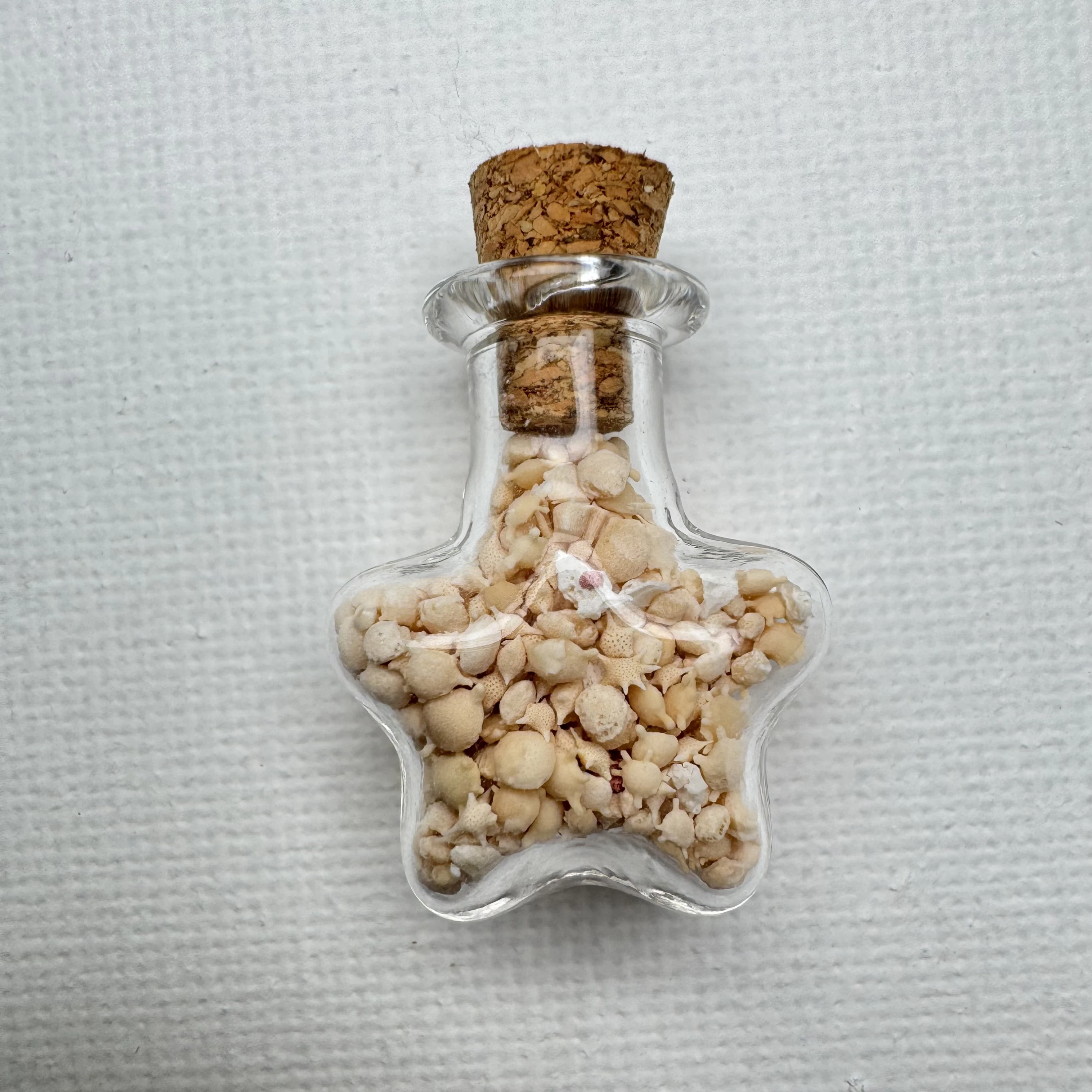 Foraminifera "star sand"