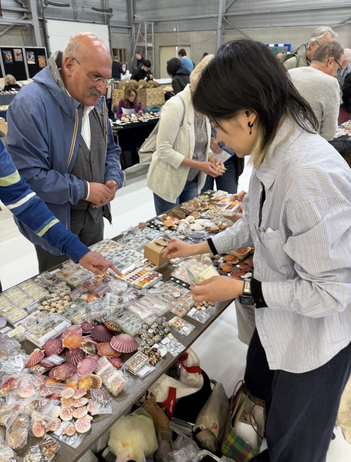 Shell show photo